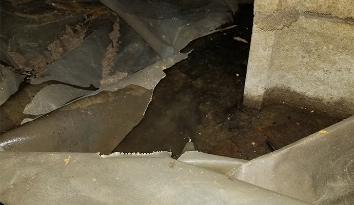 wet crawl space