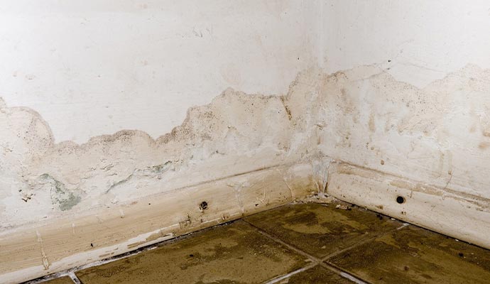 Basement corner with severe water damage and visible mold stains on the walls