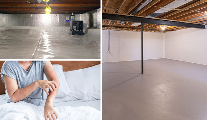 Collage of crawl space dehumidifier, allergen issue and waterproofed basement
