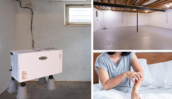Collage of dehumidifier installation, basement waterproofing, and allergy symptoms in a woman Collage of dehumidifier installation, basement waterproofing, and allergy symptoms in a woman