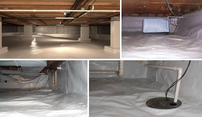 Collage of different types of crawl space services