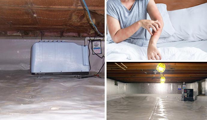 A collage illustrating professional crawl space dehumidification and the physical health impacts of indoor moisture