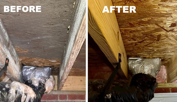 Crawl Space Mold Removal Indianapolis Before After