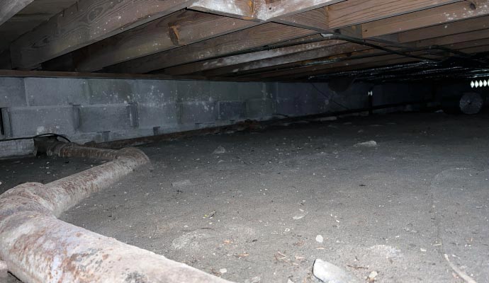 Rotting wood and mold growth in the crawl space