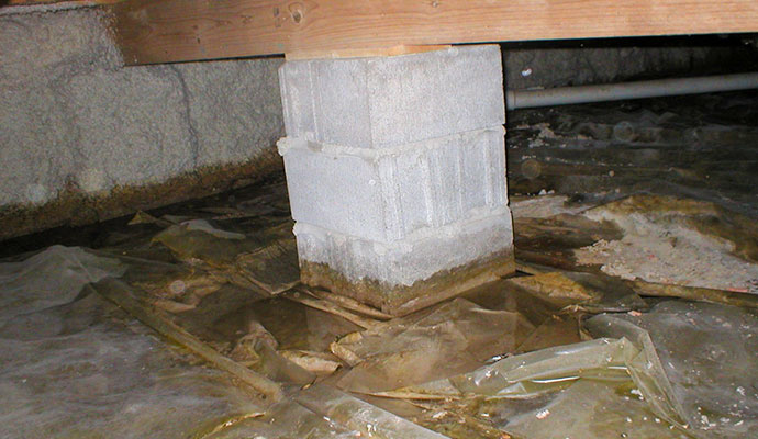 Water damage in crawl space