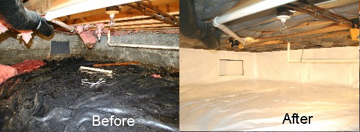 Crawl Space Before and After