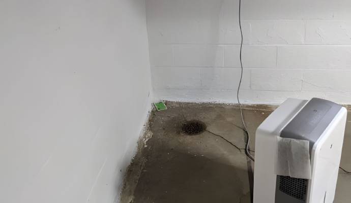 Dehumidifier in basement