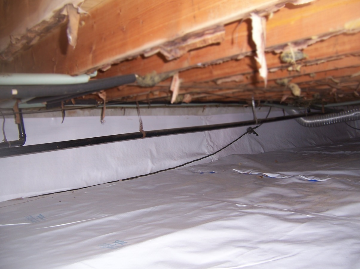 Crawlspace Drainage and Encapsulation