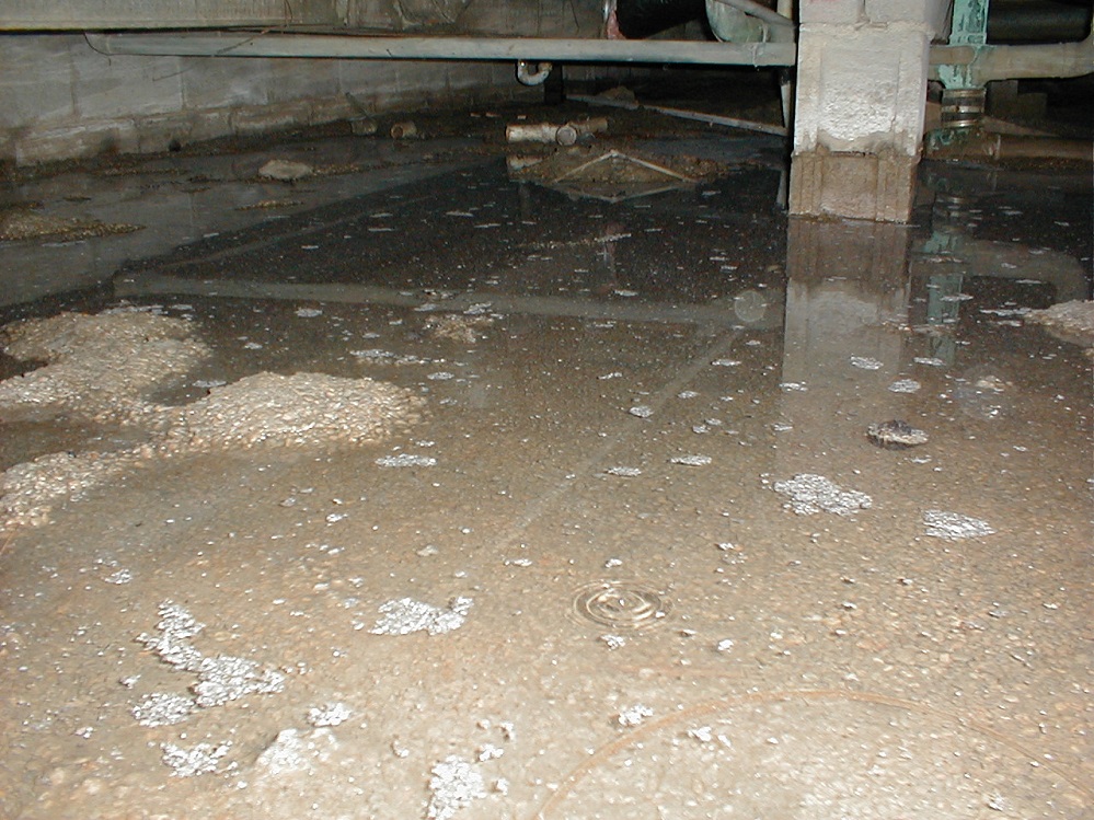 Crawl space with standing water