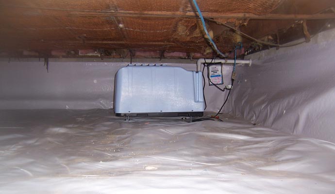 Dehumidifier Installation for Moisture Control in Indianapolis
