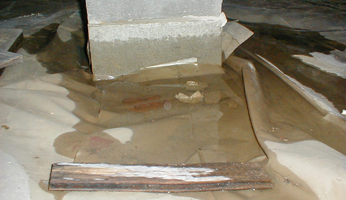 Water damage in crawl space