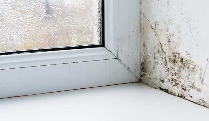 Mold and condensation damage around a basement window