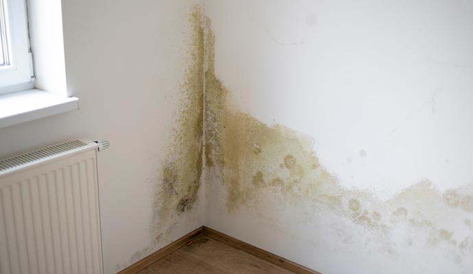 Mold on wall from excess basement moisture