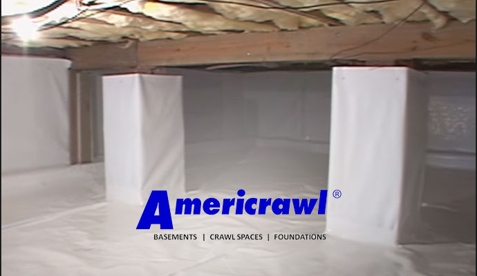 Reasons to Choose Americrawl