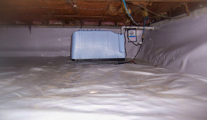Crawl space dehumidifier