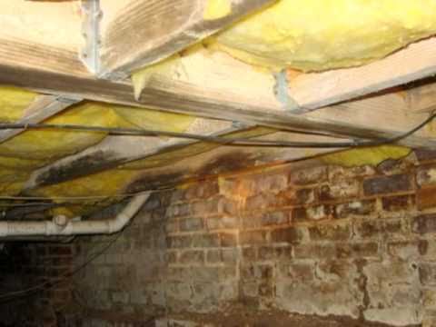 Crawl Space Mold and Wood Rot in Indiana