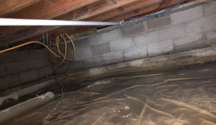 Wet crawlspace with standing water