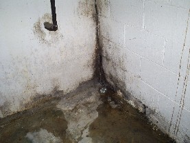 Basement Waterproofing