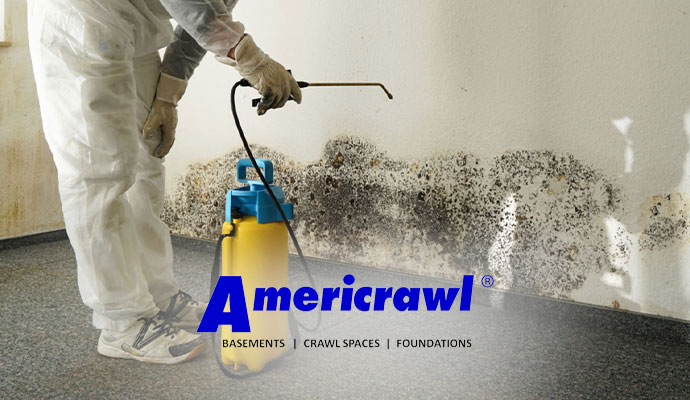 Why Choose Americrawl