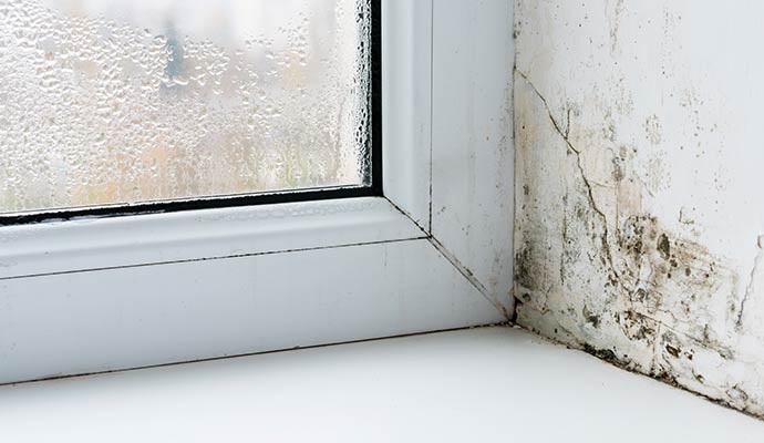 Moisture condensation on a window pane next to black mold growth on the surrounding white wall